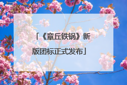 《章丘铁锅》新版团标正式发布