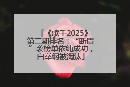 《歌手2025》第三期排名：“断眉”袭榜单依纯成功，白举纲被淘汰