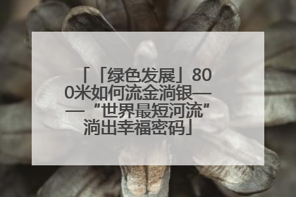 「绿色发展」800米如何流金淌银——“世界最短河流”淌出幸福密码