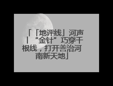 「地评线」河声丨“金针”巧穿千根线，打开善治河南新天地
