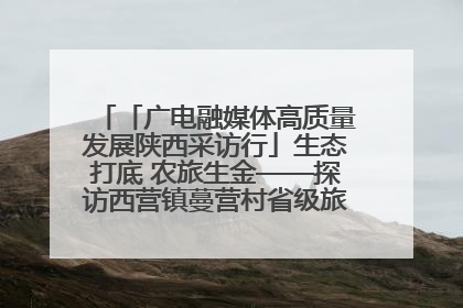 「广电融媒体高质量发展陕西采访行」生态打底 农旅生金——探访西营镇蔓营村省级旅游示范村的振兴密码