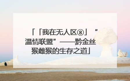 「我在无人区⑧」“温情联盟”——黔金丝猴雌猴的生存之道