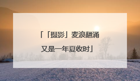 「摄影」麦浪翻涌 又是一年夏收时
