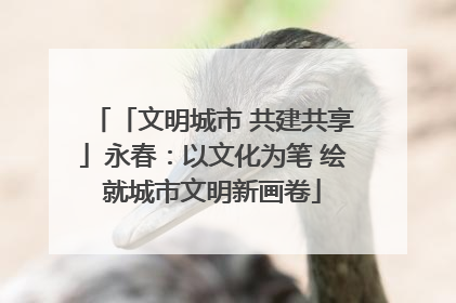 「文明城市 共建共享」永春：以文化为笔 绘就城市文明新画卷