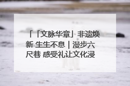 「文脉华章」非遗焕新 生生不息｜漫步六尺巷 感受礼让文化浸润的“巷”往生活