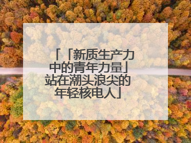 「新质生产力中的青年力量」站在潮头浪尖的年轻核电人