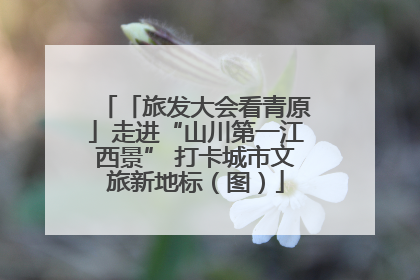 「旅发大会看青原」走进“山川第一江西景” 打卡城市文旅新地标（图）