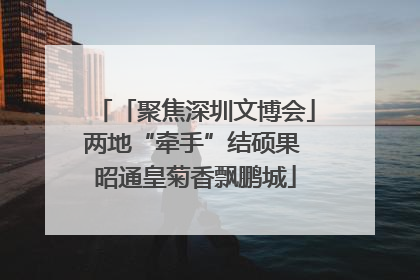 「聚焦深圳文博会」两地“牵手”结硕果 昭通皇菊香飘鹏城