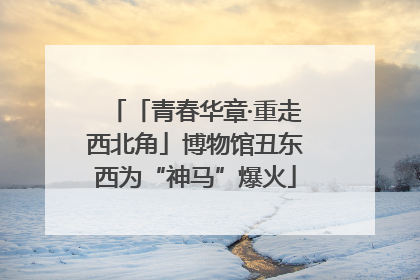 「青春华章·重走西北角」博物馆丑东西为“神马”爆火