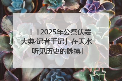 「2025年公祭伏羲大典·记者手记」在天水 听见历史的脉搏