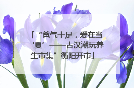 “爸气十足，爱在当‘夏’——古汉潮玩养生市集”衡阳开市