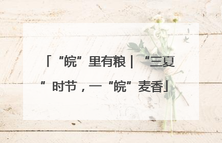 “皖”里有粮｜“三夏”时节，一“皖”麦香