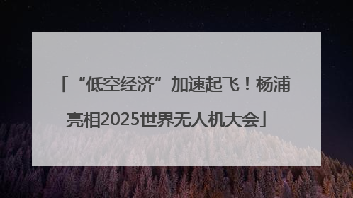 “低空经济”加速起飞！杨浦亮相2025世界无人机大会