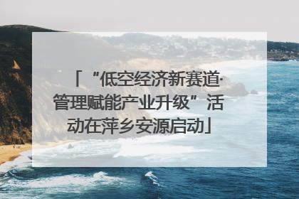 “低空经济新赛道·管理赋能产业升级”活动在萍乡安源启动