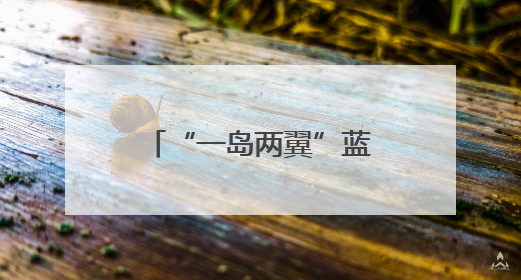 “一岛两翼”蓝图已展，在复兴岛面向全球发出“杨浦之约”