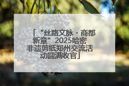 “丝路文脉・商都新章”2025哈密非遗剪纸郑州交流活动圆满收官