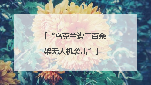 “乌克兰遭三百余架无人机袭击”