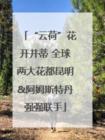 “云荷”花开并蒂 全球两大花都昆明&阿姆斯特丹强强联手