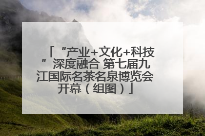 “产业+文化+科技”深度融合 第七届九江国际名茶名泉博览会开幕（组图）
