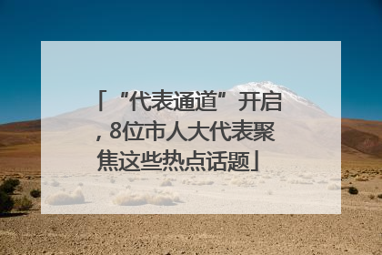 “代表通道”开启，8位市人大代表聚焦这些热点话题
