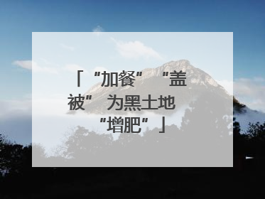 “加餐”“盖被” 为黑土地“增肥”