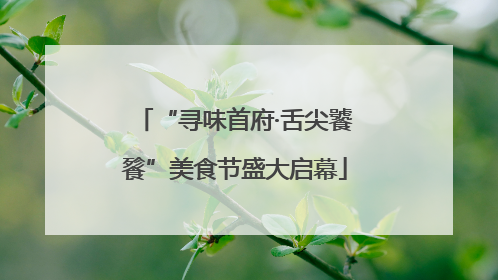 “寻味首府·舌尖饕餮”美食节盛大启幕