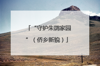 “守护朱鹮家园”（侨乡新貌）