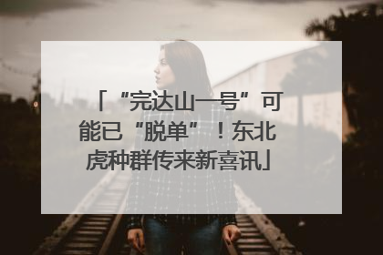 “完达山一号”可能已“脱单”！东北虎种群传来新喜讯