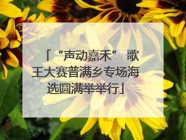 “声动嘉禾” 歌王大赛普满乡专场海选圆满举举行