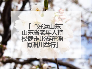 “好运山东”山东省老年人持杖健走比赛在淄博淄川举行