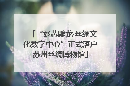 “彣芯雕龙·丝绸文化数字中心”正式落户苏州丝绸博物馆