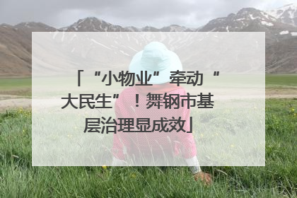“小物业”牵动“大民生”！舞钢市基层治理显成效
