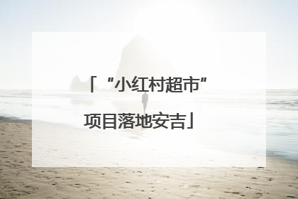 “小红村超市”项目落地安吉