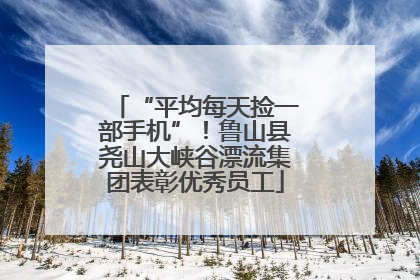 “平均每天捡一部手机”！鲁山县尧山大峡谷漂流集团表彰优秀员工
