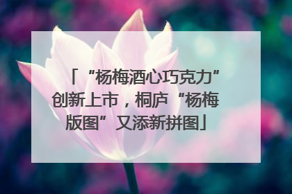 “杨梅酒心巧克力”创新上市，桐庐“杨梅版图”又添新拼图