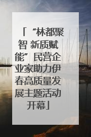 “林都聚智 新质赋能”民营企业家助力伊春高质量发展主题活动开幕