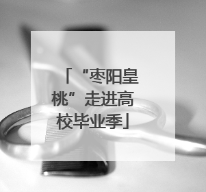 “枣阳皇桃”走进高校毕业季