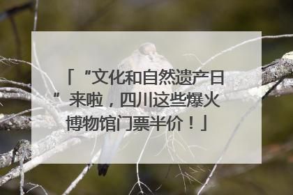 “文化和自然遗产日”来啦，四川这些爆火博物馆门票半价！