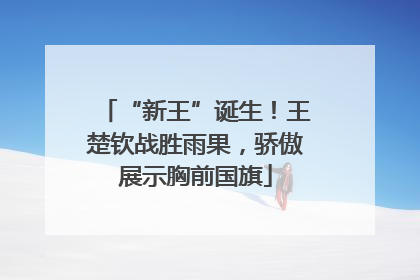 “新王”诞生！王楚钦战胜雨果，骄傲展示胸前国旗