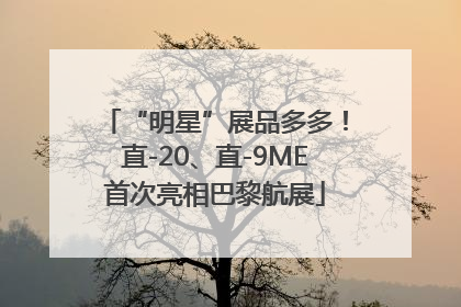 “明星”展品多多！直-20、直-9ME首次亮相巴黎航展