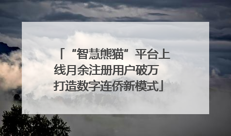 “智慧熊猫”平台上线月余注册用户破万 打造数字连侨新模式