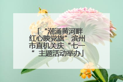 “潮涌黄河畔 红心映党旗”滨州市直机关庆“七一”主题活动举办