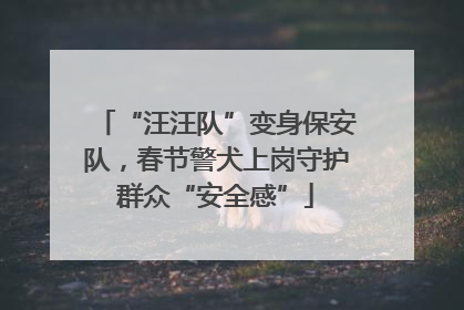 “汪汪队”变身保安队，春节警犬上岗守护群众“安全感”