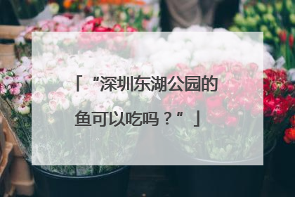 “深圳东湖公园的鱼可以吃吗？”