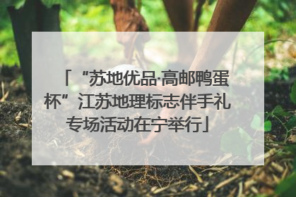 “苏地优品·高邮鸭蛋杯”江苏地理标志伴手礼专场活动在宁举行