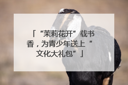 “茉莉花开”载书香，为青少年送上“文化大礼包”