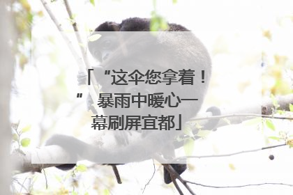 “这伞您拿着！” 暴雨中暖心一幕刷屏宜都