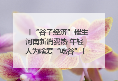 “谷子经济”催生河南新消费热 年轻人为啥爱“吃谷”