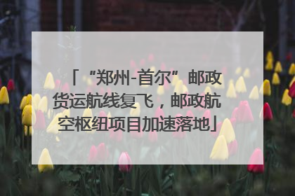 “郑州-首尔”邮政货运航线复飞，邮政航空枢纽项目加速落地