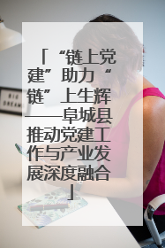 “链上党建”助力“链”上生辉——阜城县推动党建工作与产业发展深度融合